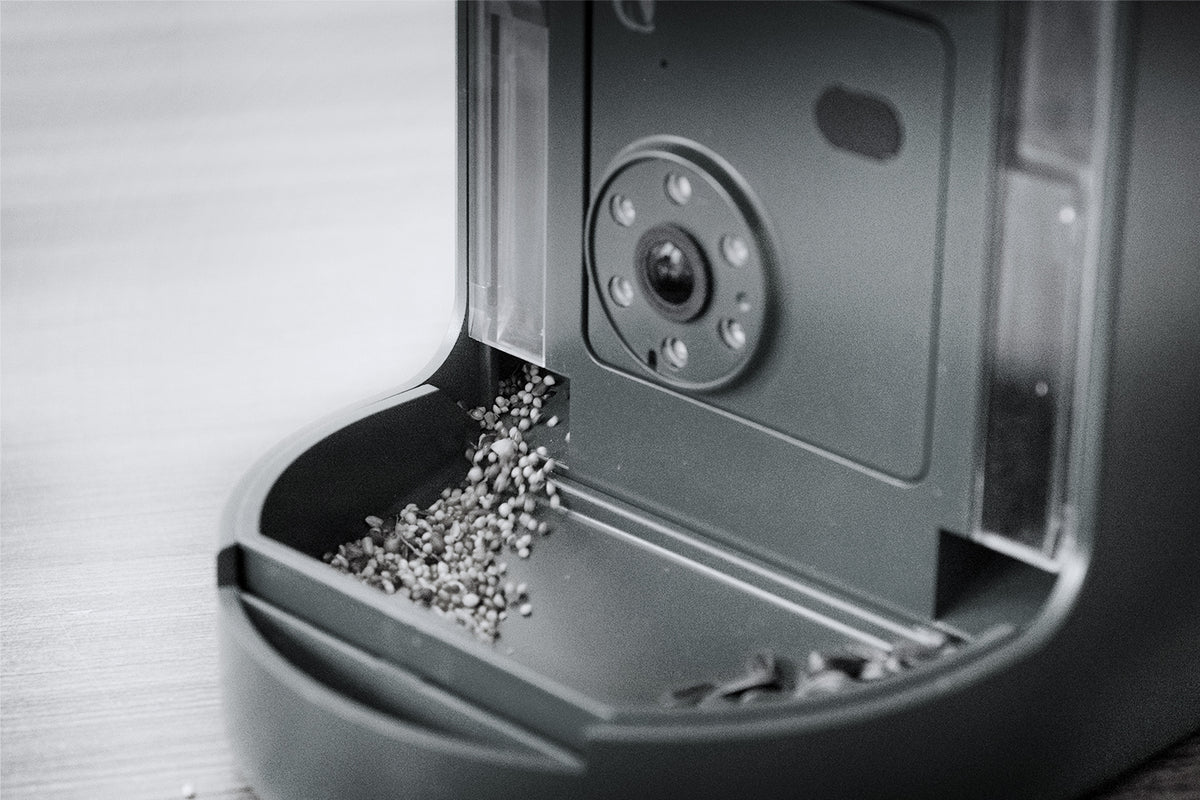 Testing the seed dispensing system