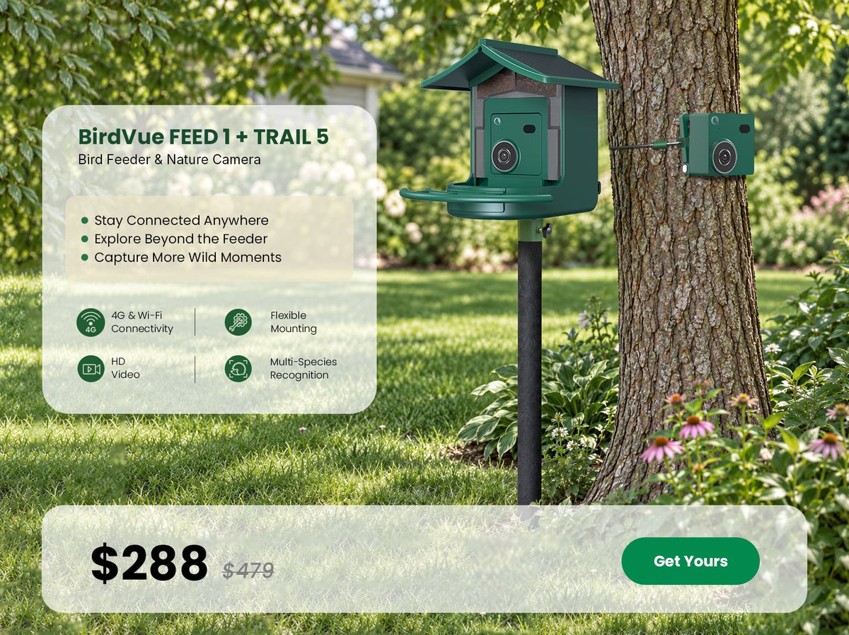 BirdVue FEED 1 Smart Bird Feeder and TRAIL 5 Nature Camera bundle