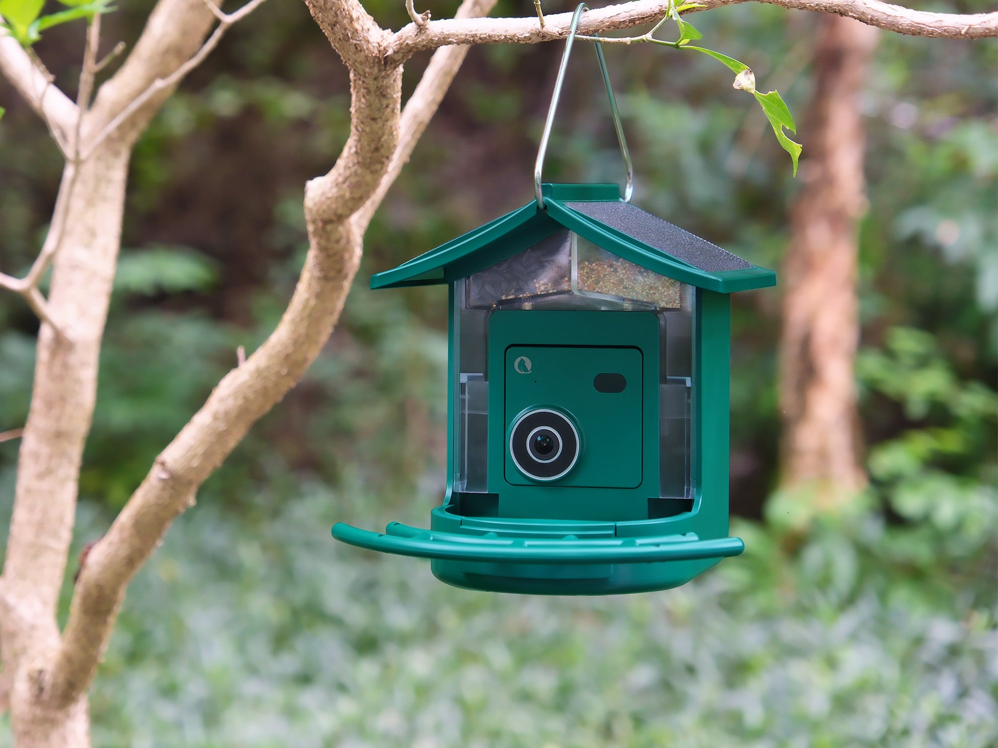 BirdVue smart bird feeder hanging on a tree