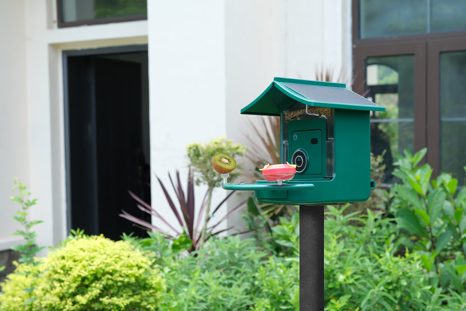 BirdVue smart bird feeder placed in a backyard