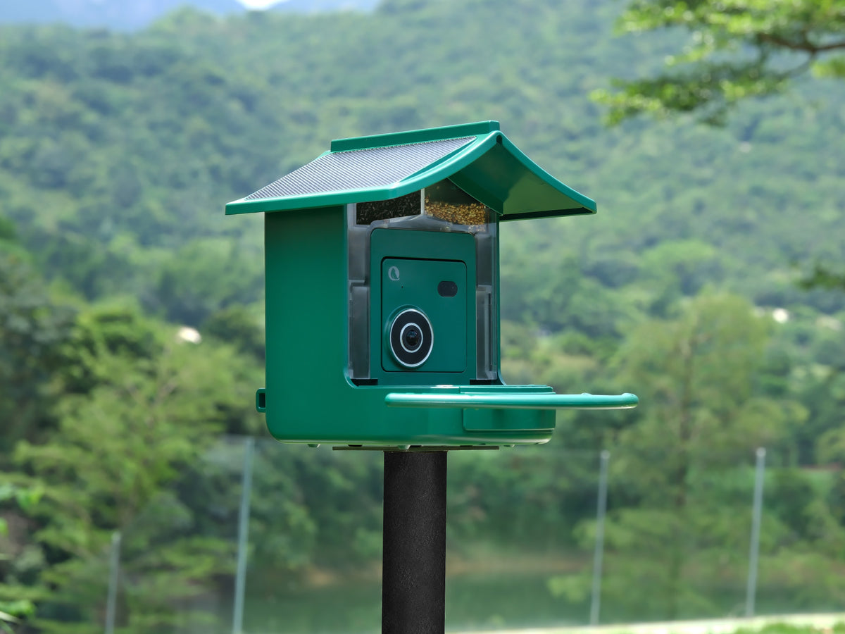 BirdVue smart bird feeder placed in a backyard