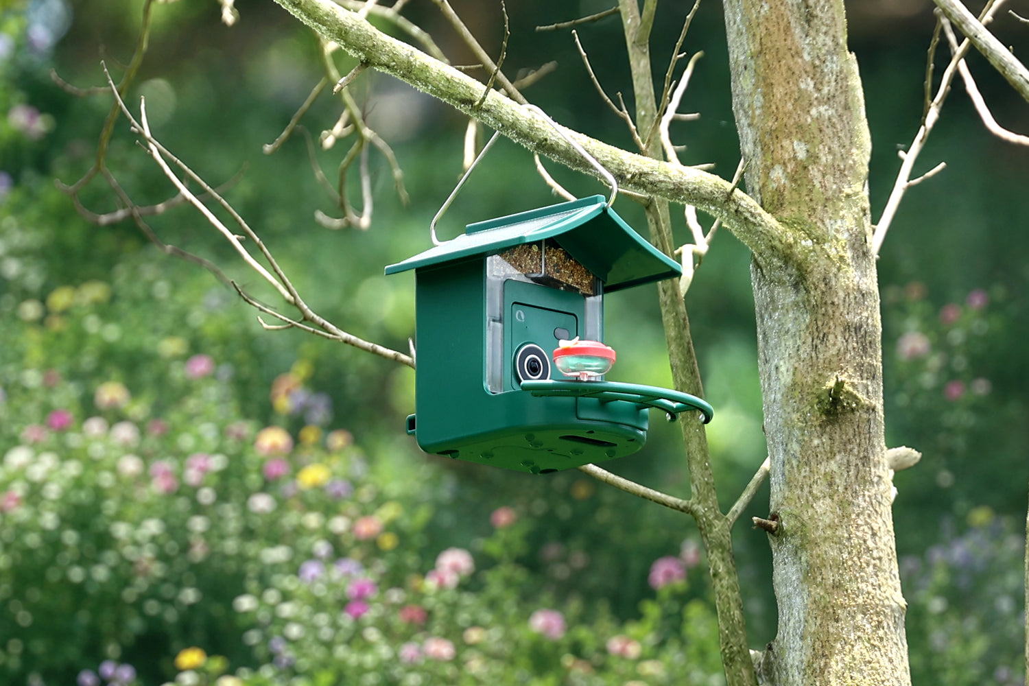 BirdVue smart bird feeder hanging in a garden