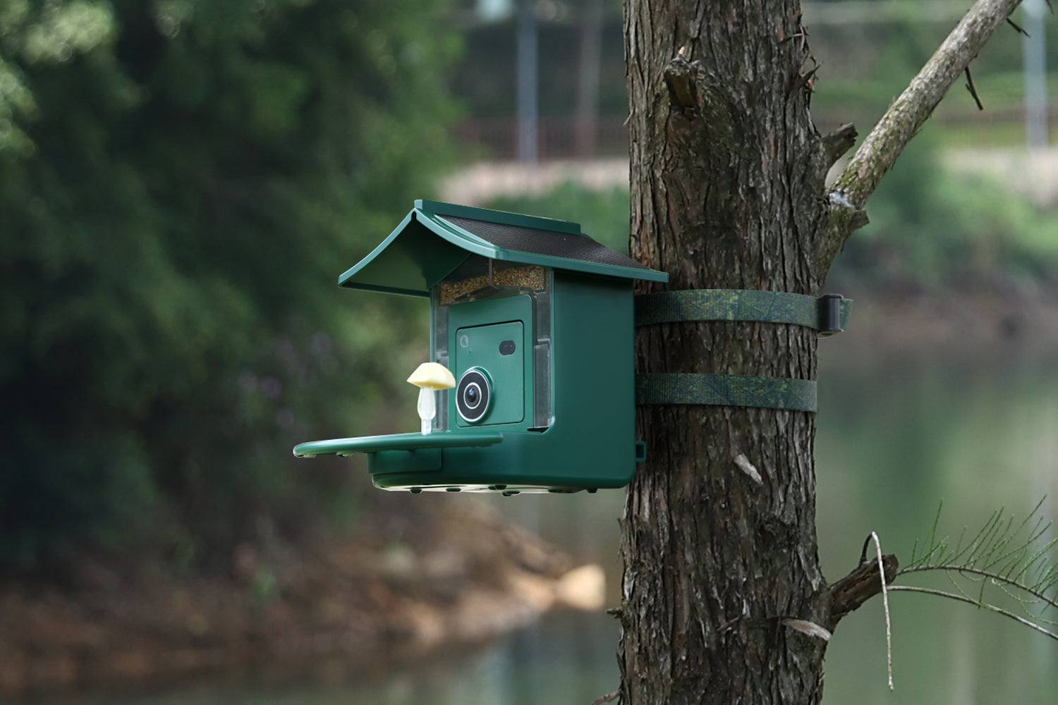 BirdVue smart bird feeder mounted on a tree beside a river