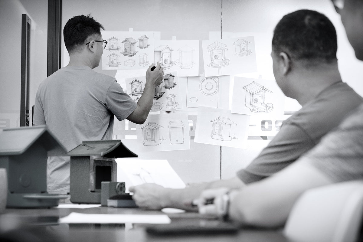 BirdVue team discussing product development