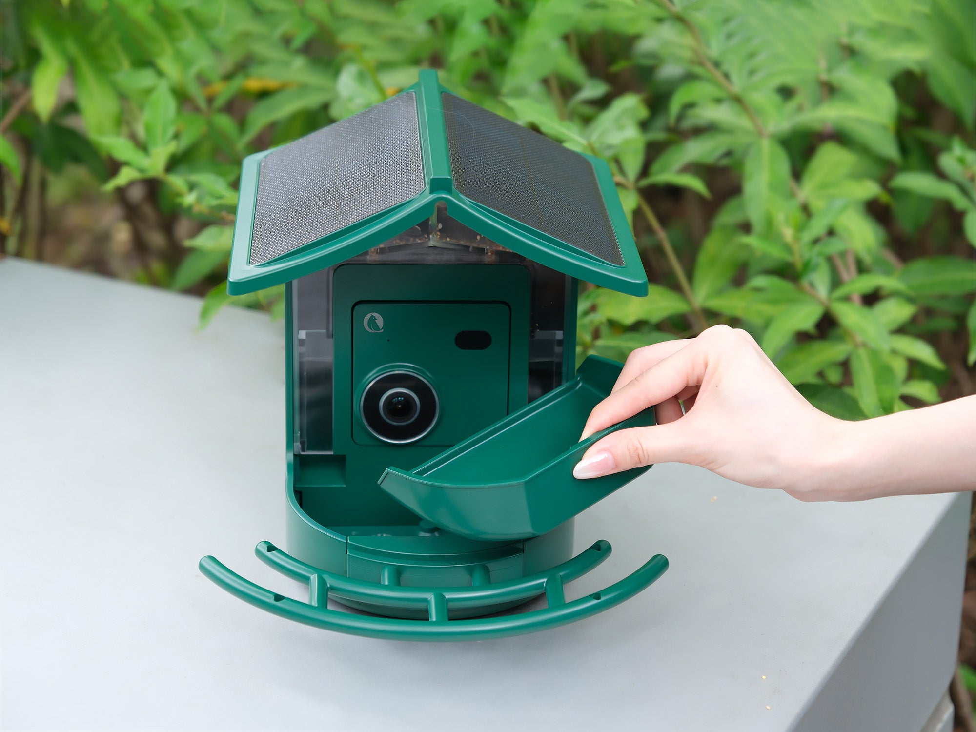 Removable feeding tray on the BirdVue smart bird feeder